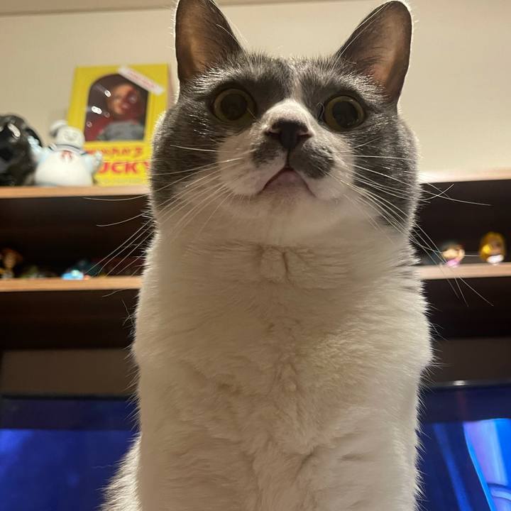 448af912 b540 4cf9 a3c4 15b78b74d750 1634652549218