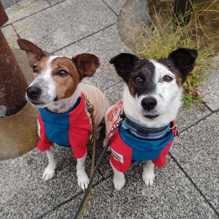 448b3acf 87dc 4276 b064 0f94f0a3cc5e 1727387594643