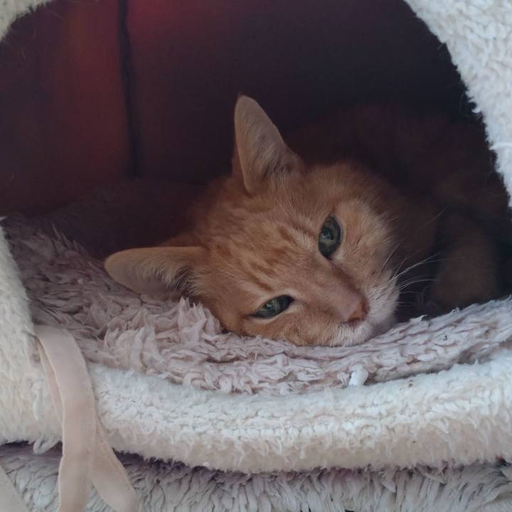 448b713d 7a43 4c69 b54c 9e23af91dc39 1713257650571