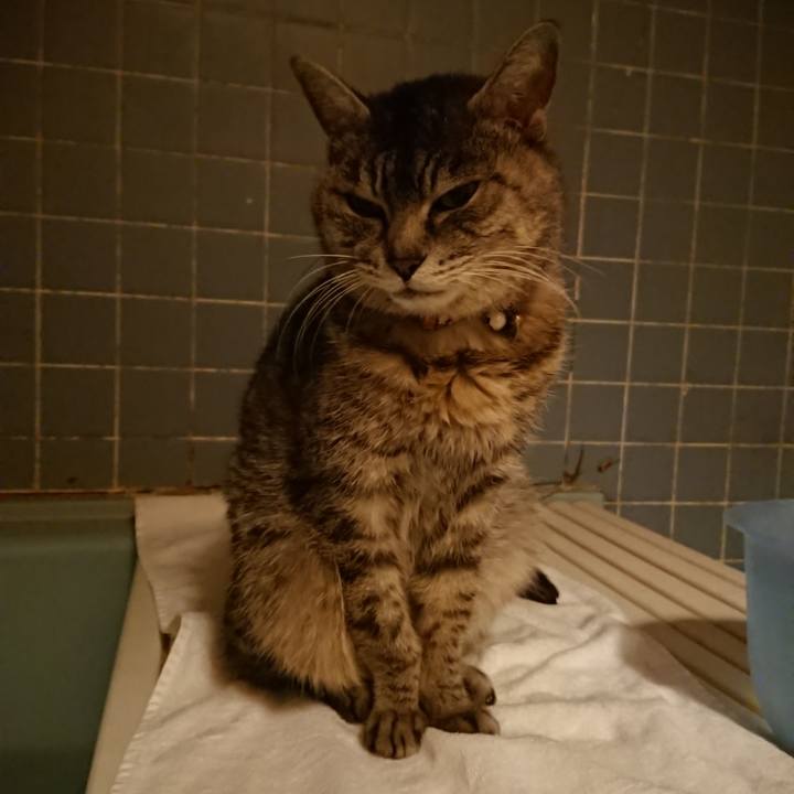 448b75d3 3e5a 4a3b 8d9a 2c6d3cdc4eb5 1584351698331