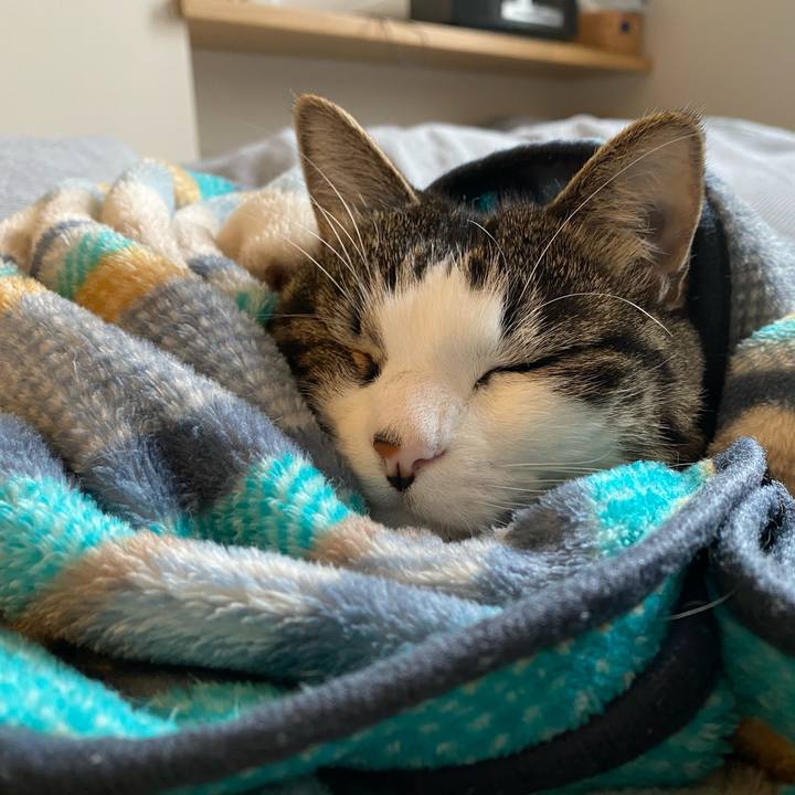 448b7c93 8fc5 4604 870d 89d54f6fe720 1605170069101