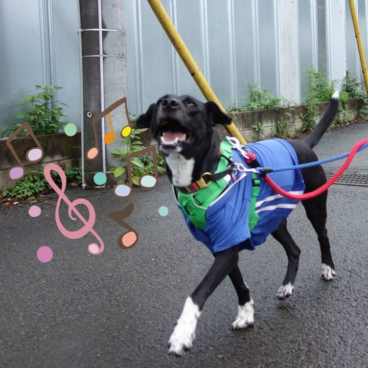 448b8b06 7eab 4314 9cb5 c43bb68db58f 1592870248640