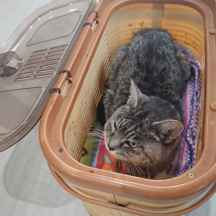 448b8b12 b2ab 41d4 8918 1c46fa9b64cb 1580540832823