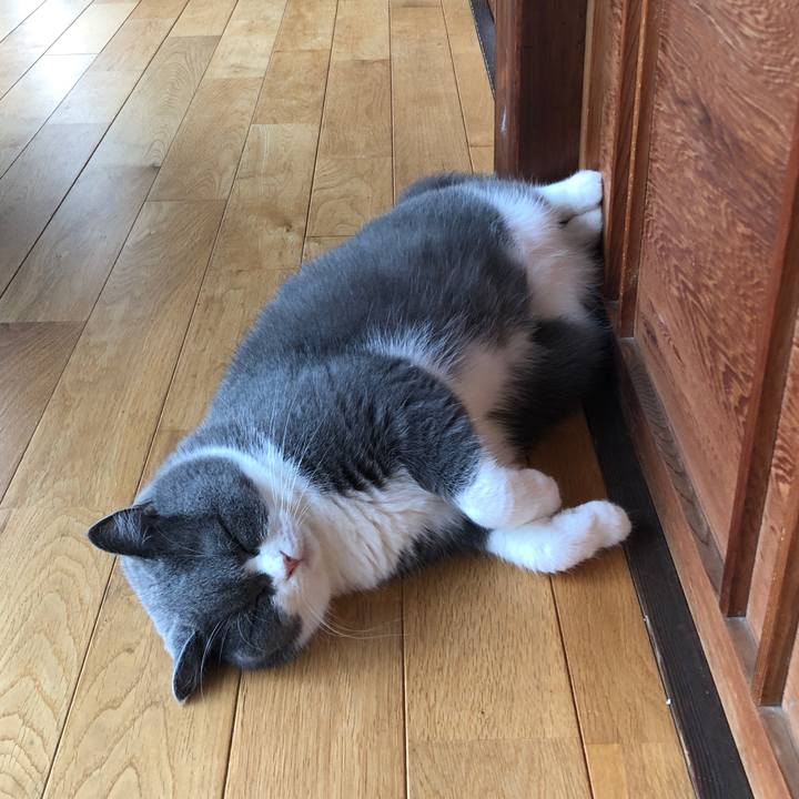 448bac83 ff78 4363 ac72 78db0b5986e5 1594196726811