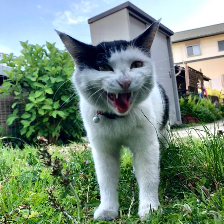 448bd33a 3c9e 4124 8bc6 620bc5ab5868 1619444453983