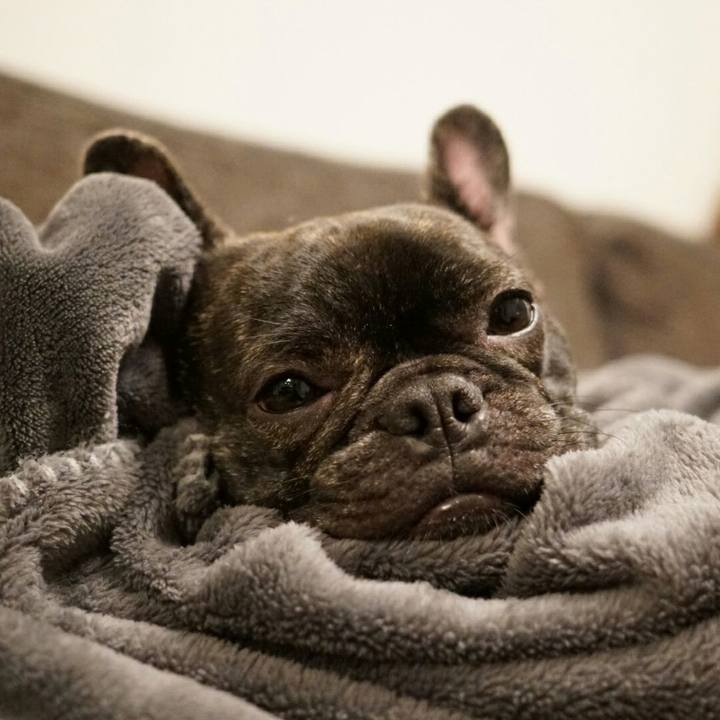 448c04ea 42f5 4c76 8e1c f6f5eeed9401 1510403485366