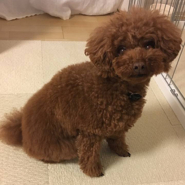 448c2405 efcb 4b9c b91e b9d148eda5f7 1528679317074