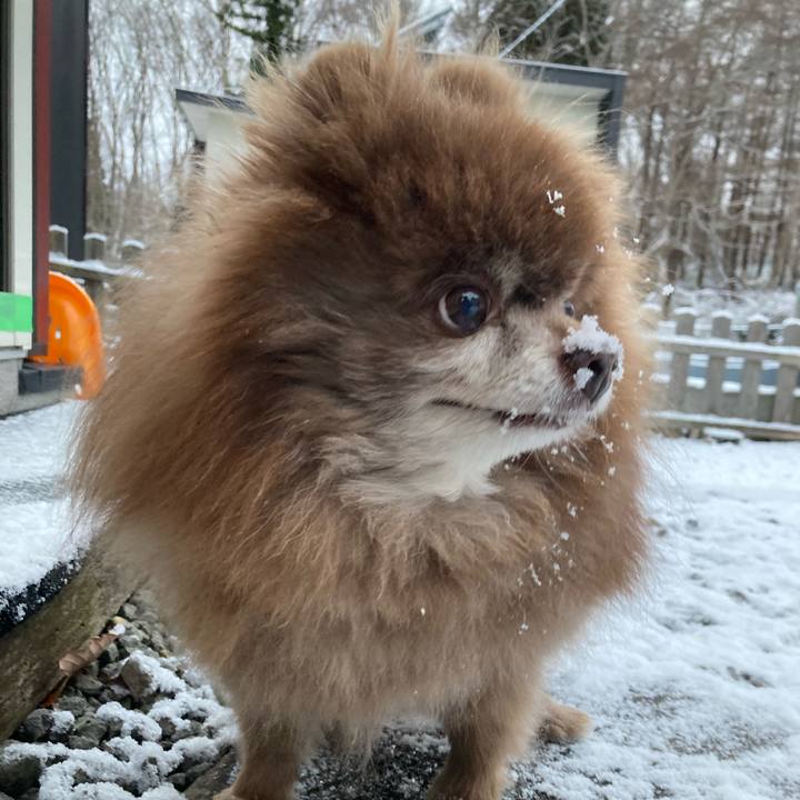 448c5e9a a589 4503 b9d7 069be22fb21b 1733436686881