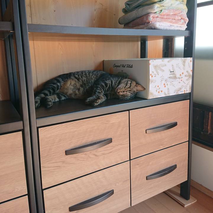 448c7f5c 6040 4929 9465 301e864253a3 1662343345478