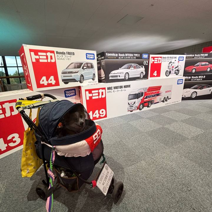 448cf3f2 9416 4163 9f76 7e237e7ced81 1759052361059