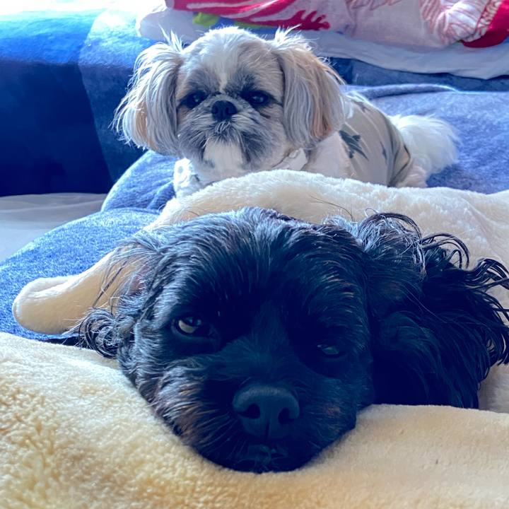 448cfa25 3199 4cfb 8f2d af1ccdfe2a0f 1678769199321