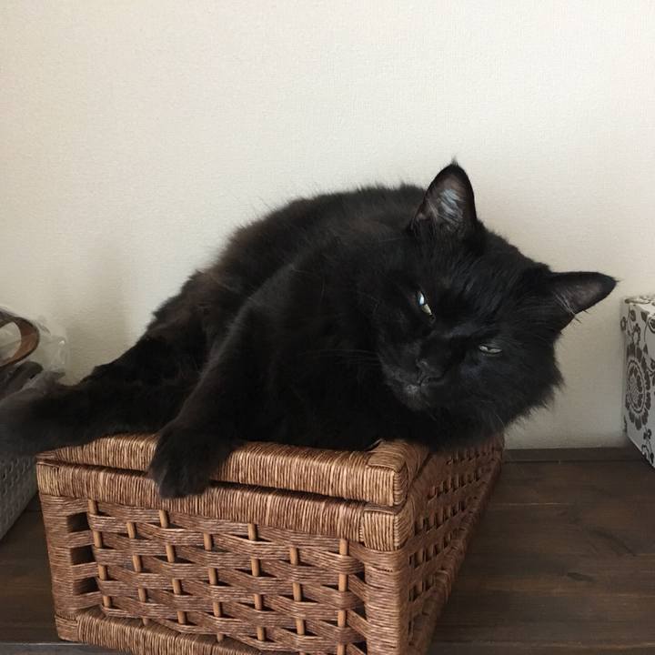 448cfb0b eaf2 4939 b0cf de2744b8c8f9 1531267091640