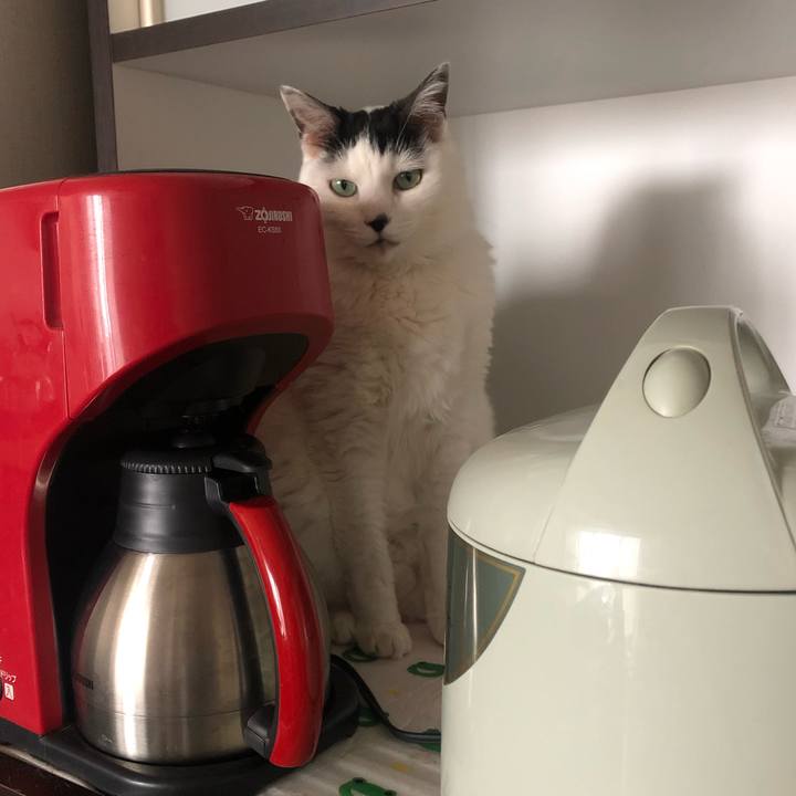 448d256d 544d 4847 bae5 769da9ef0864 1589931074572