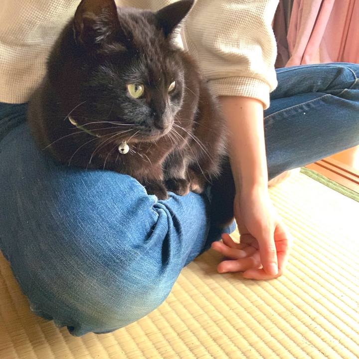 448dbca7 66d9 4811 b9e2 c1916f49b397 1553071432915