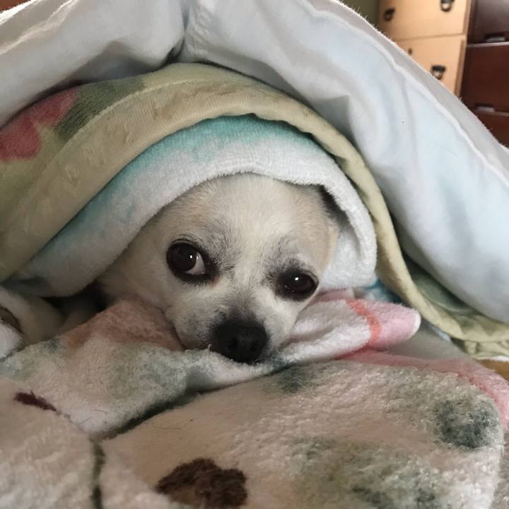 448df3e8 5bbb 4306 8618 0bd0112aebc6 1573041676711