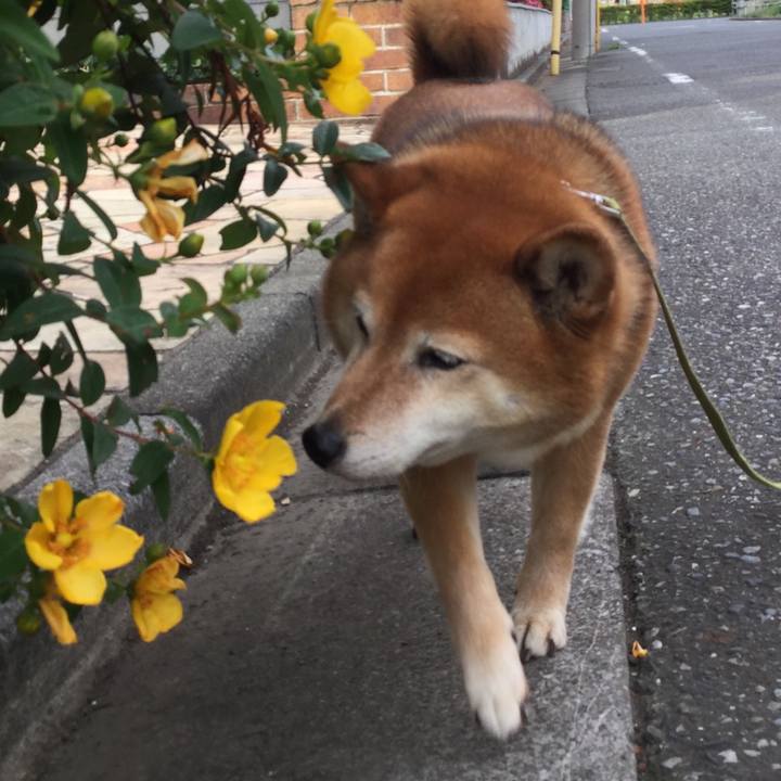 448dfb85 2476 48b9 a9ad 7d2b5a03eb2d 1590829294529