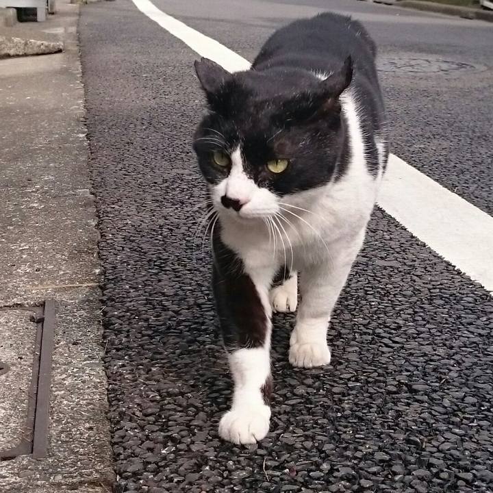 448e0e12 04c8 4d8c 9d00 b61612dd7a26 1517626640103