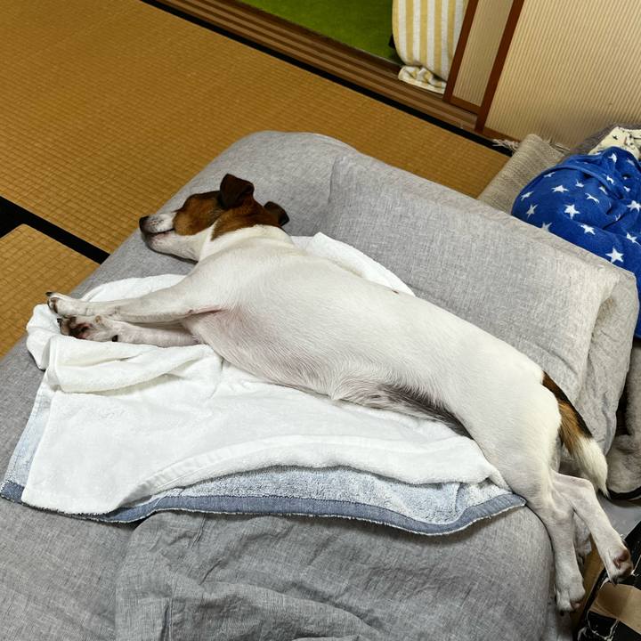 448e63db 0069 4a7d 82d2 578f849ee76c 1751256347032