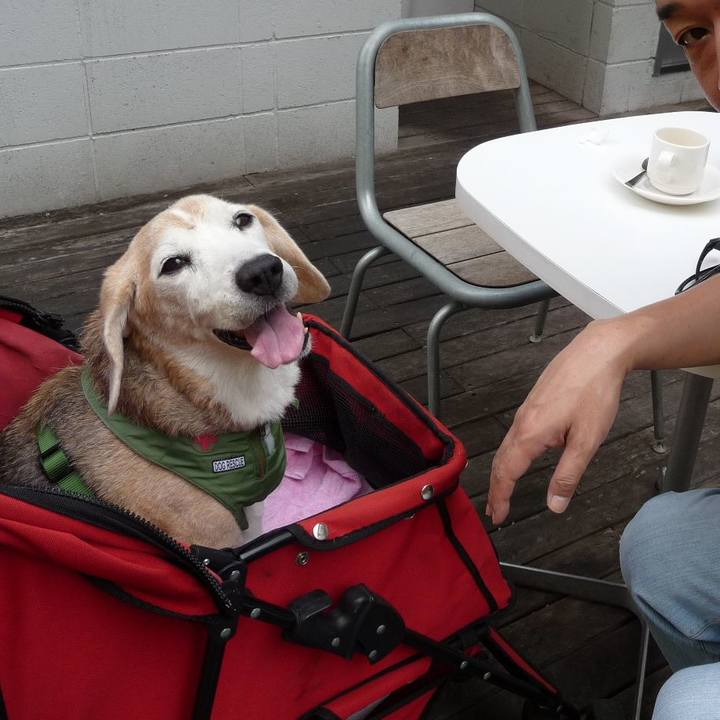 448e6abb 388e 4c69 a118 f4b1d236ad43 1698626478450