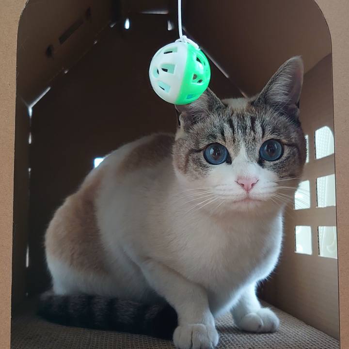 448ea03d ec1b 449d 8966 9282ff0a5449 1646987302649