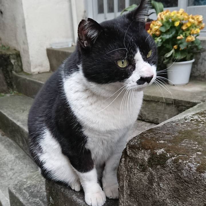 448eb4b7 2de9 4054 8332 5e5847e0820a 1546755102670