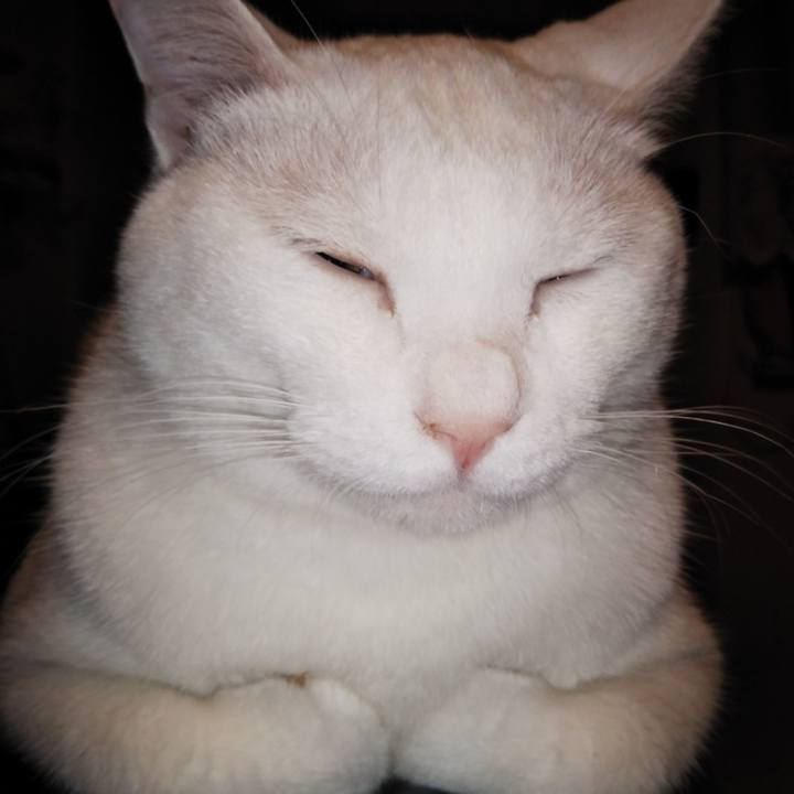 448f28be 3ad9 4dc3 bdec d622ec2aadf1 1534591726769