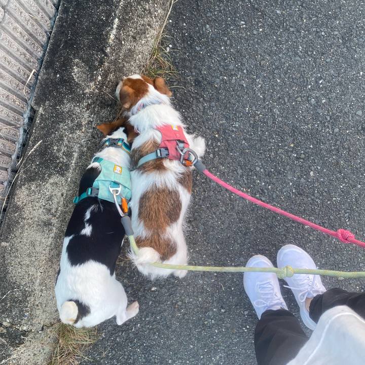 448f79e8 13dd 452e b1ef 4c5871ab9df9 1756846742088