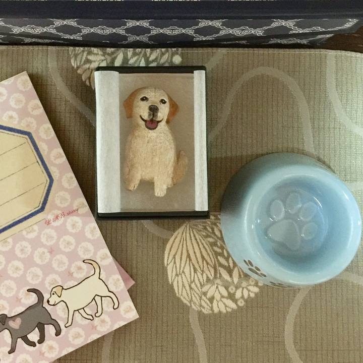 448f89c5 de7a 40c1 91f1 59e51af265bc 1587208567672