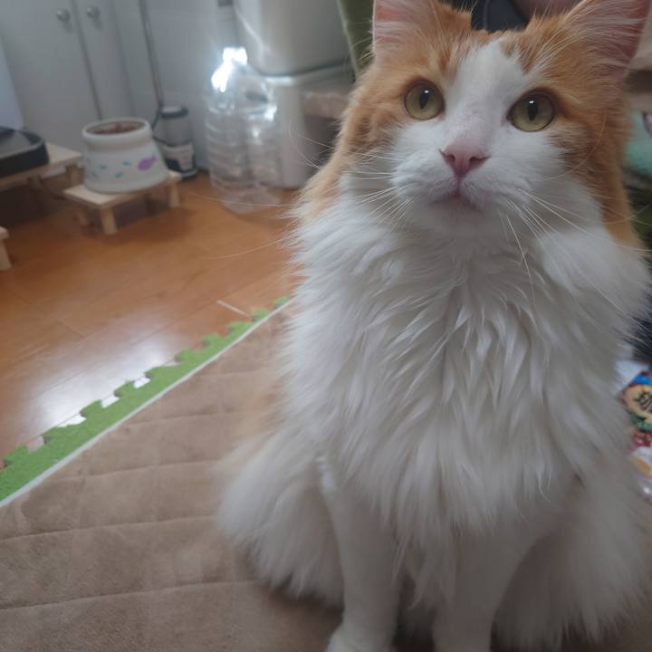 44900047 1c4d 4ab9 9990 6c6113189566 1647477882412