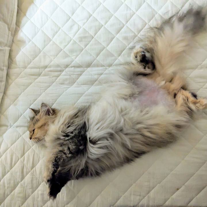 44902192 b03d 48d2 a661 1e9f86367c5d 1696255061975