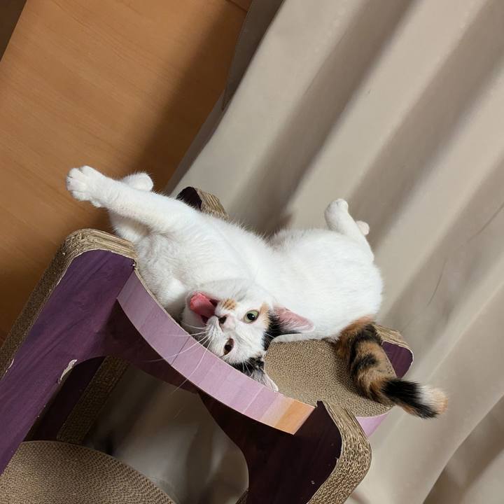 44903c47 b2b6 4674 8b92 02422a74b5d1 1728384768246