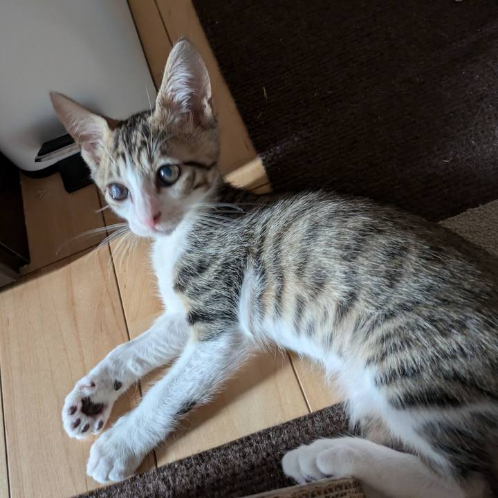 449058a7 9cd7 4fac 8cb3 63dda991c8eb 1729294590833