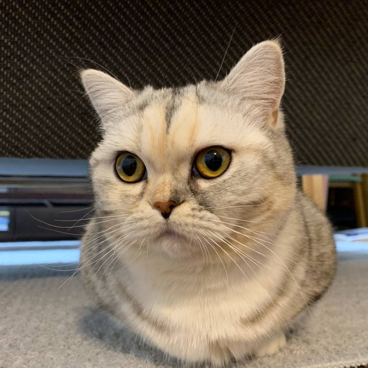 44907b8f f77a 4dd3 9b1e d3d118a4fe2a 1705321303168