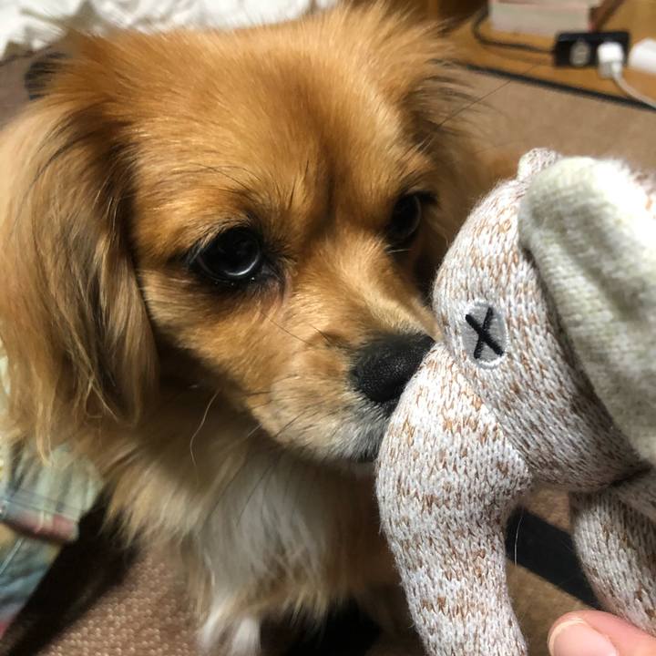 449084e9 104d 47fb b918 72d1e6a46e24 1541330686285