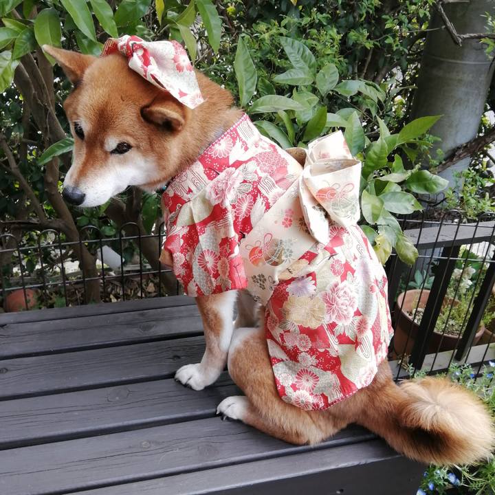 4490885e fb22 4b3c 8eec fe54655a9344 1585277177187