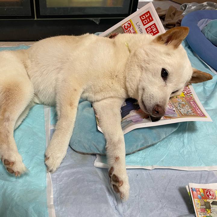 44909a84 18d6 42bc 9e80 672d151bffc8 1651639005358