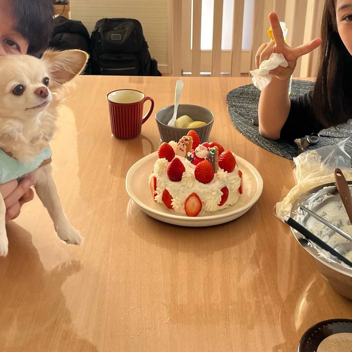 44909b79 4534 4e56 968a 3951da1b0133 1767173918137