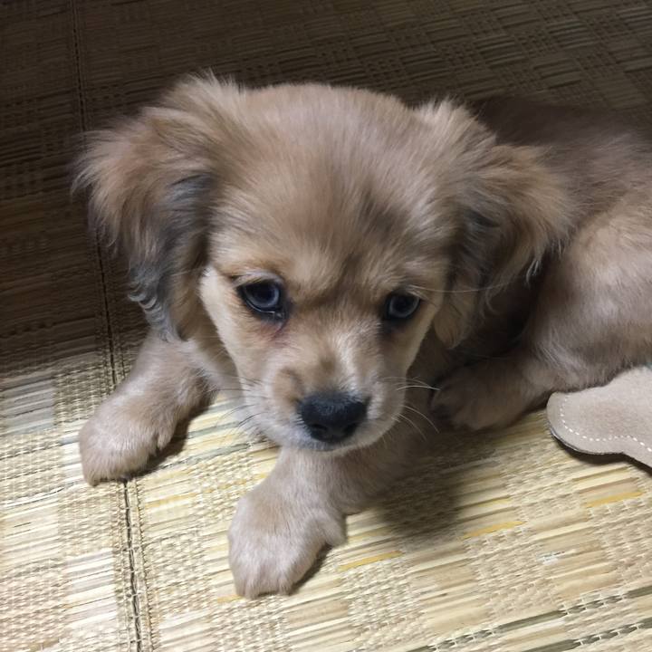 4490a784 57fb 4751 9987 68b39535cdbd 1660353978809