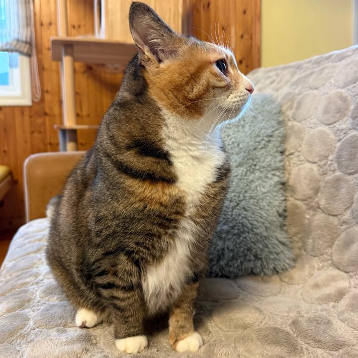 4490a99e cb36 4777 b7a1 4aa69cccc694 1770508109935