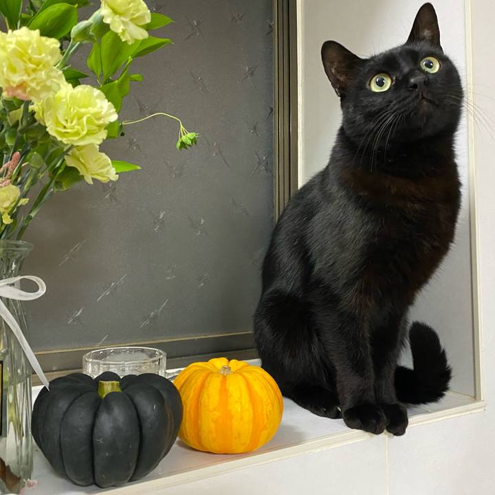 4490af7d 2b0e 48e1 b0f8 0a418a41d09e 1674560024398