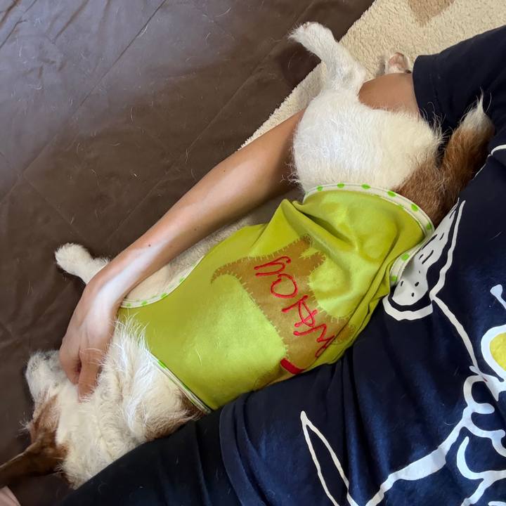 4490e294 ee04 437c b86c 54fb8f182d68 1753141243683