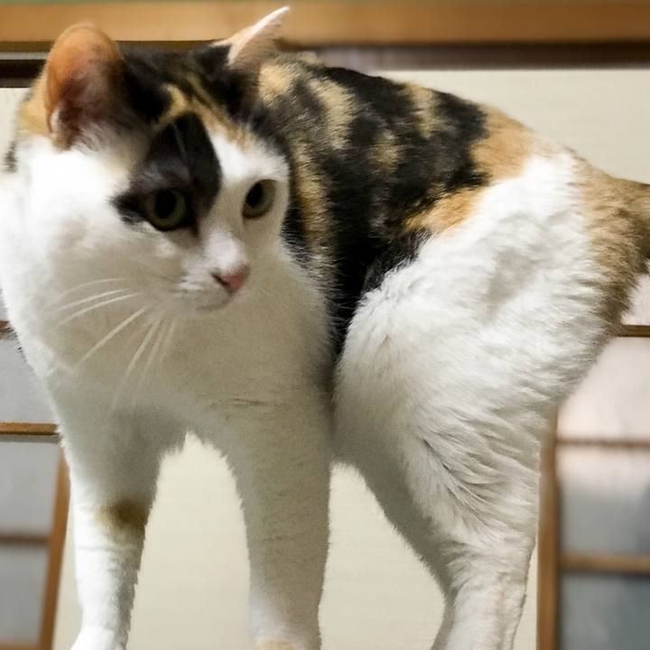 44911178 f7f8 4c3e 908d dbfc5c18a15f 1527173431352