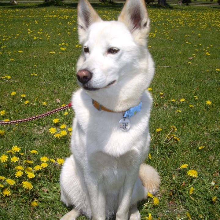 449129e5 ee6d 4912 a895 bbb3cf3ab688 1589966002220