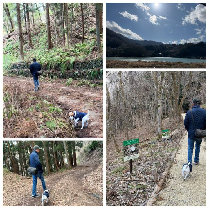 44916b4a b7c9 4e10 b172 982a89654aeb 1773215719930