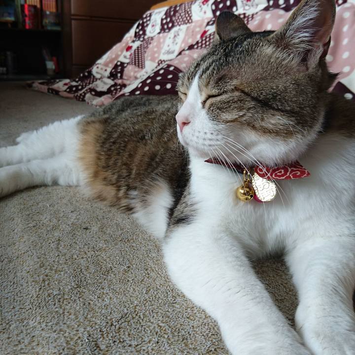 449181f0 344b 4a4f adf6 1d207d95d45c 1526861787299