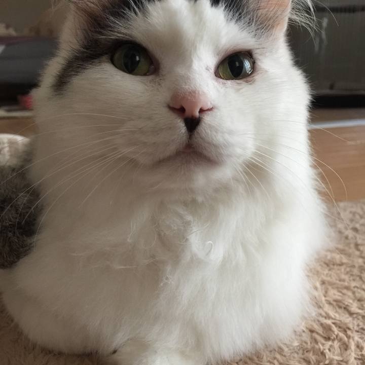 44919901 ed59 427e 87b8 6a5bd85af499 1530621737652