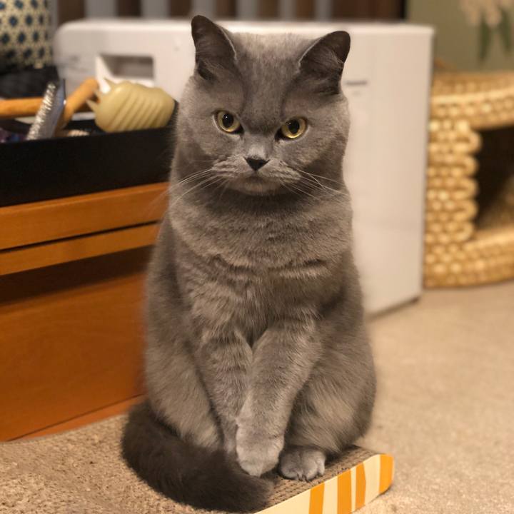 4491aa4a 11e1 4cd0 a6d3 bdc42f95bf85 1586683202523