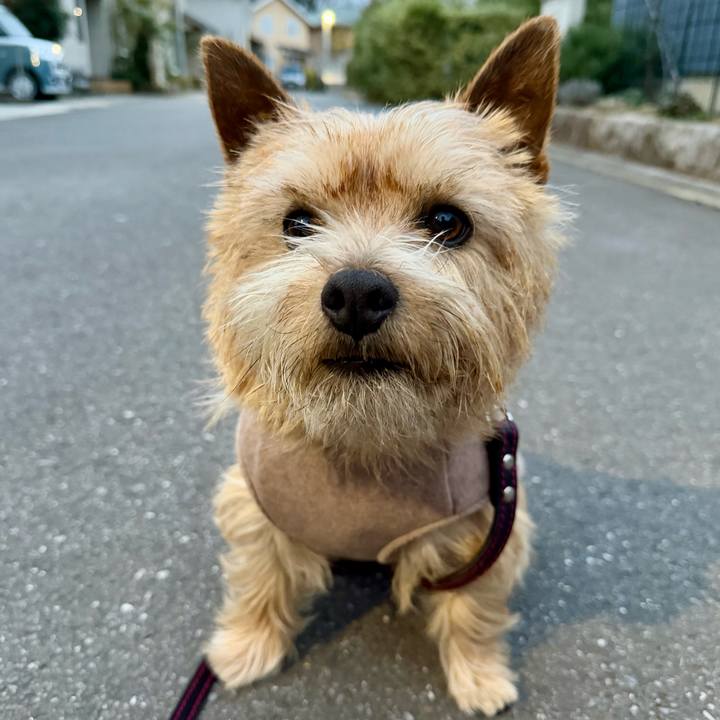 4491aa81 0f7a 403a ac65 7ffe70bfa4c1 1772538249634