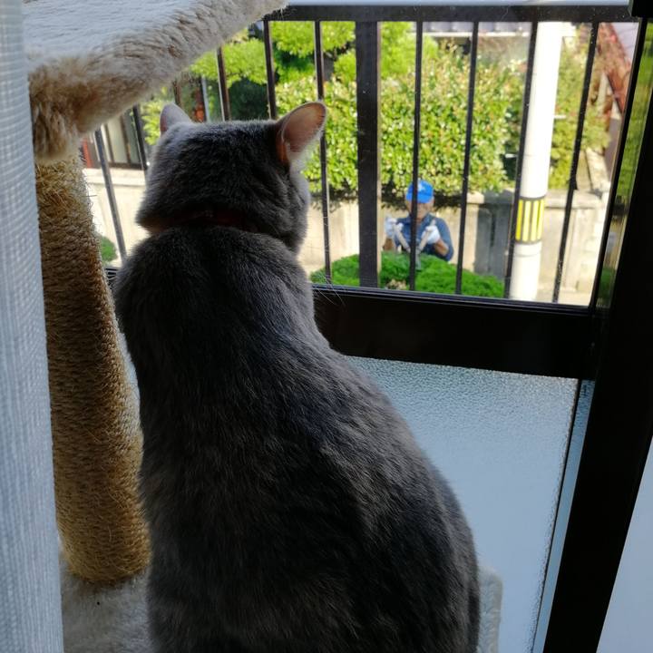 4491ced3 3a12 48cd 9123 b79d0816a0bd 1531721928810