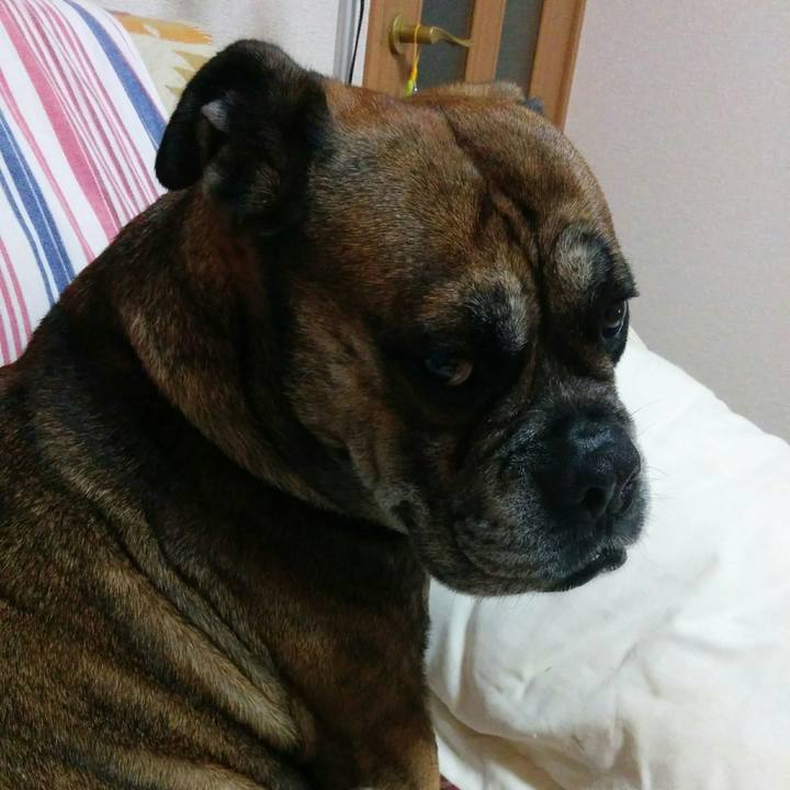 4491d33d 70f2 4b22 b5e4 8de1c8ec3aec 1704720120804